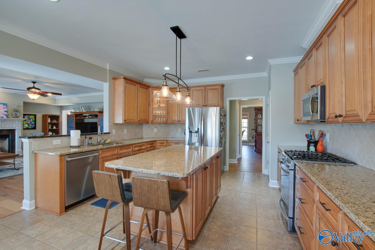 3051 Twelvestones Road, Owens Cross Roads, Alabama image 11