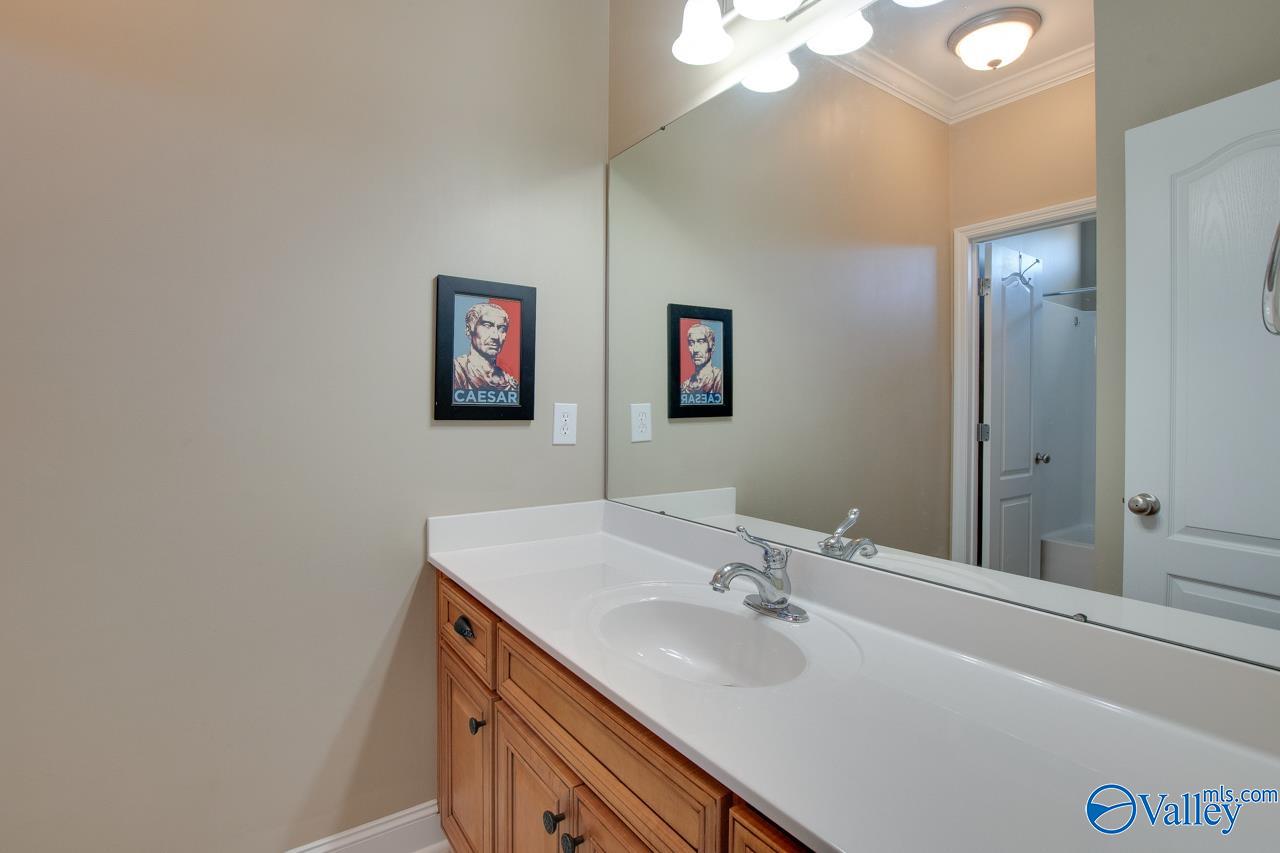 3051 Twelvestones Road, Owens Cross Roads, Alabama image 25