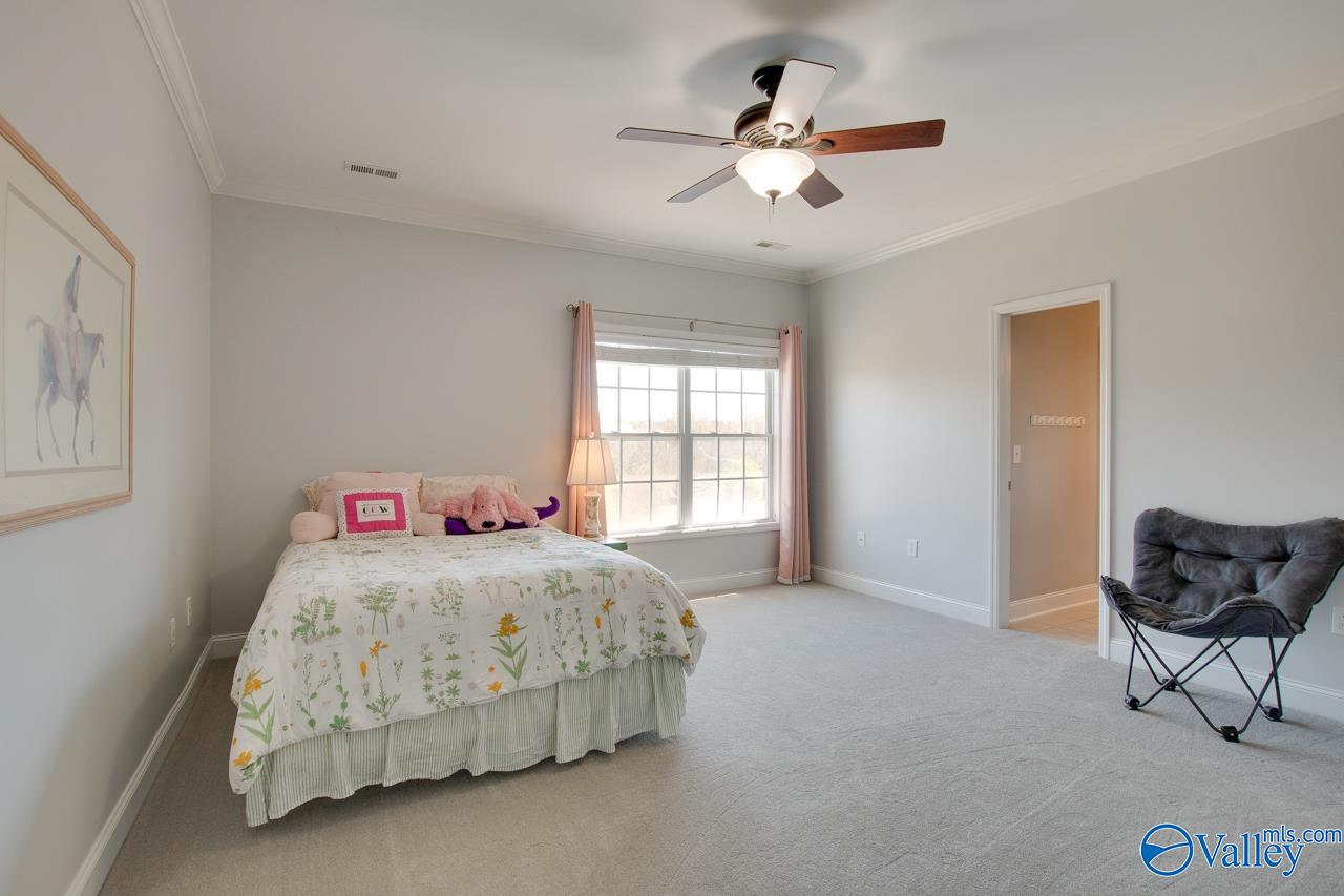 3051 Twelvestones Road, Owens Cross Roads, Alabama image 26