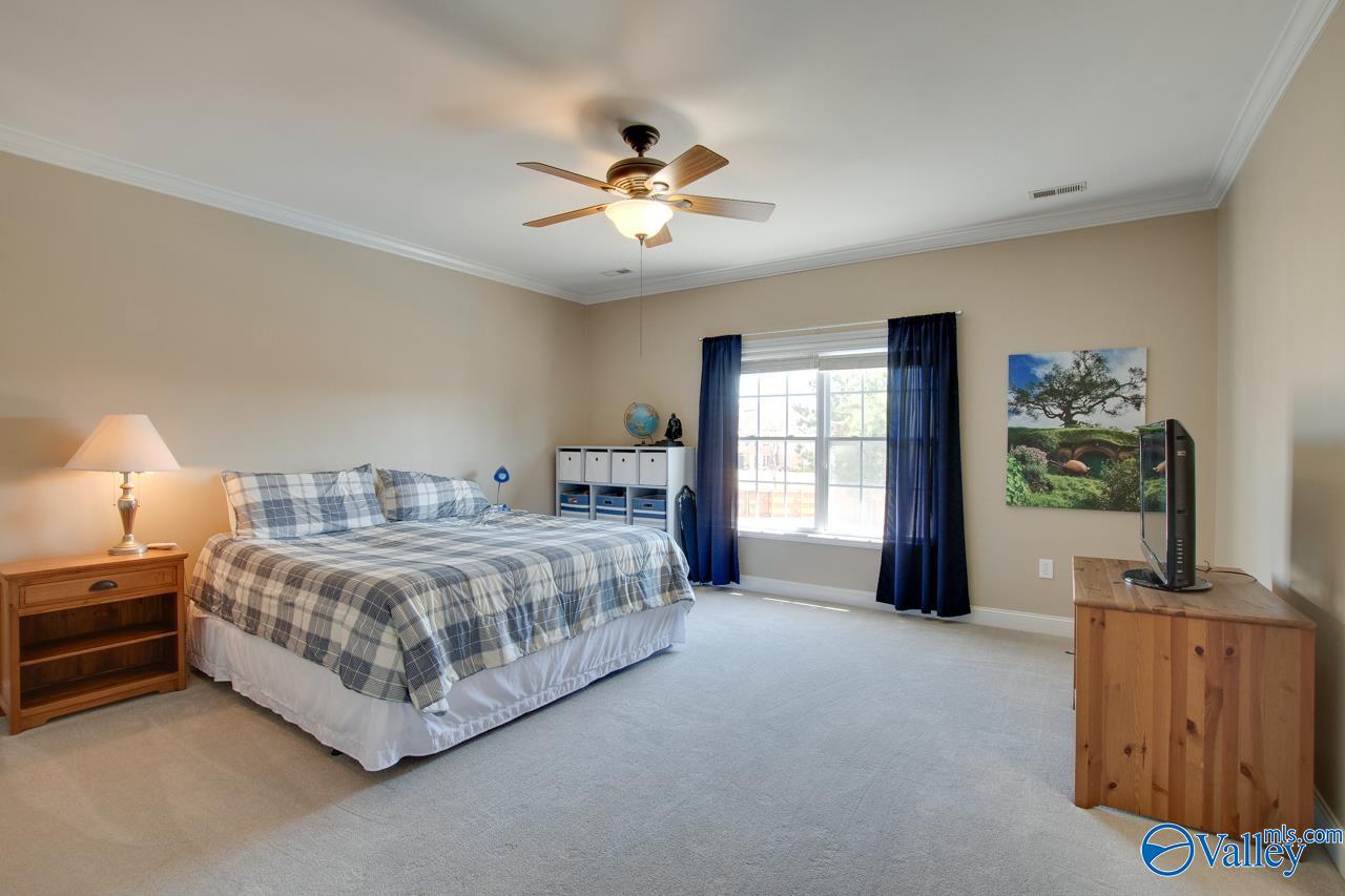 3051 Twelvestones Road, Owens Cross Roads, Alabama image 24
