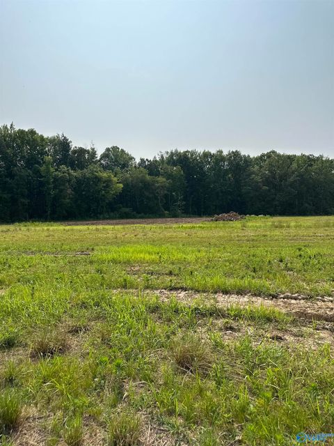 Vacant Land For Sale - TRACT 43 Hays Mill Road<br/> Elkmont, AL 35620