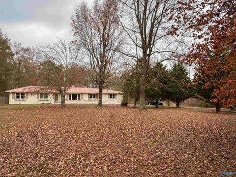 Photo of 108 Brock Street, Albertville, AL 35950 (MLS # 21905822)