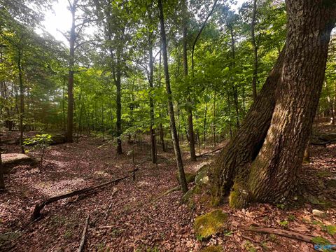 Vacant Land For Sale - 4.4 ACRES Wooten Road<br/> Grant, AL 35747