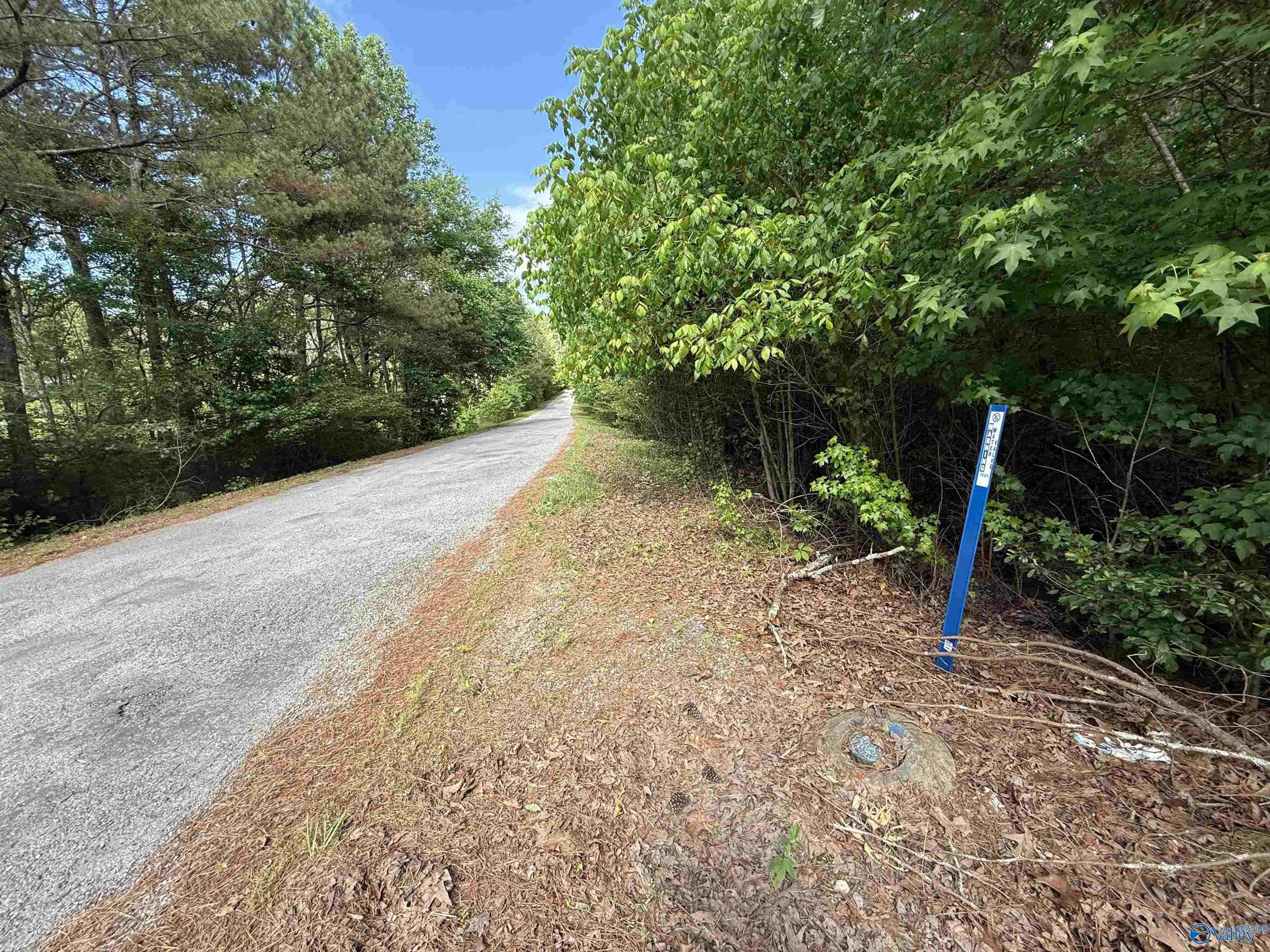 235 County Road 641, Mentone, Alabama image 8