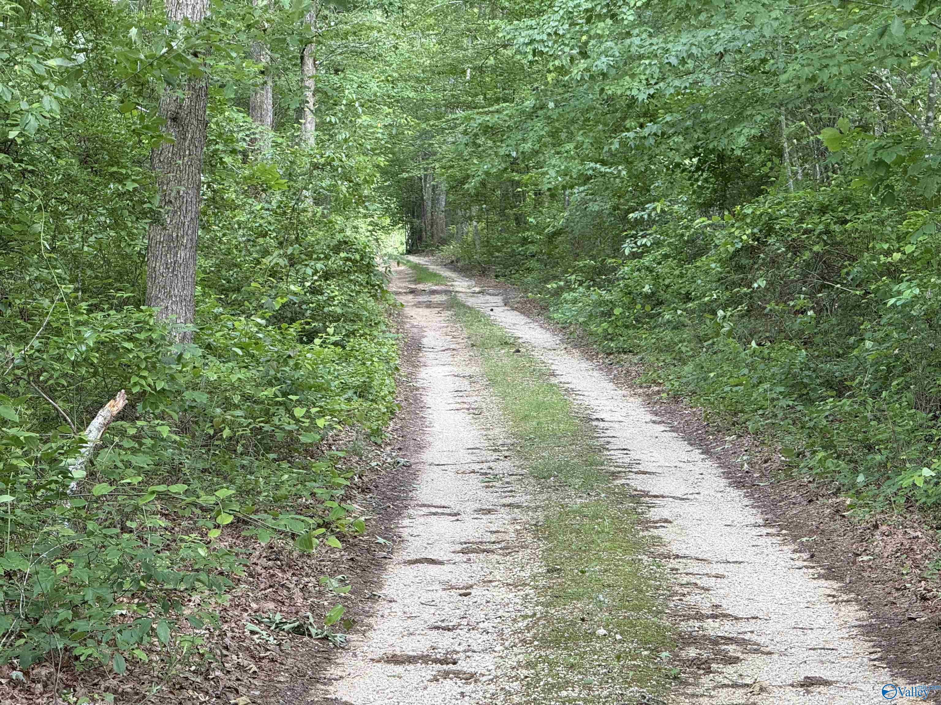 235 County Road 641, Mentone, Alabama image 7