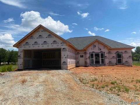 11208 Percy Drive Tanner AL 35671