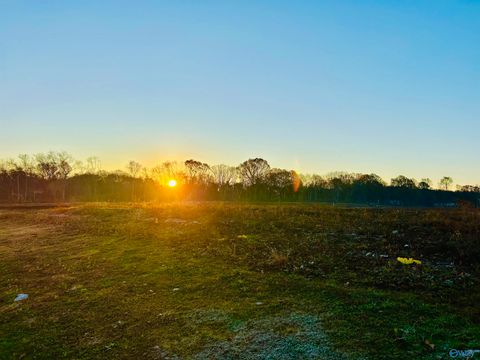 Vacant Land For Sale - 13 ACRES Bunny Lane<br/> Decatur, AL 35603