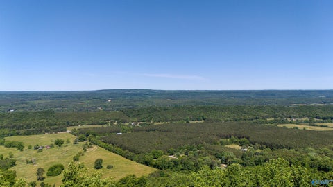 Vacant Land For Sale - 3.91 AC Scenic Highway 89<br/> Mentone, AL 35984