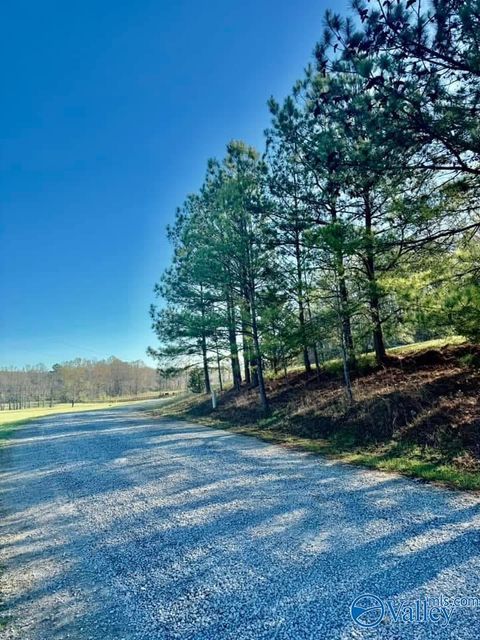 Vacant Land For Sale - 741 Poplar Springs Trail<br/> Saint Clair County, Ashville, AL 35953