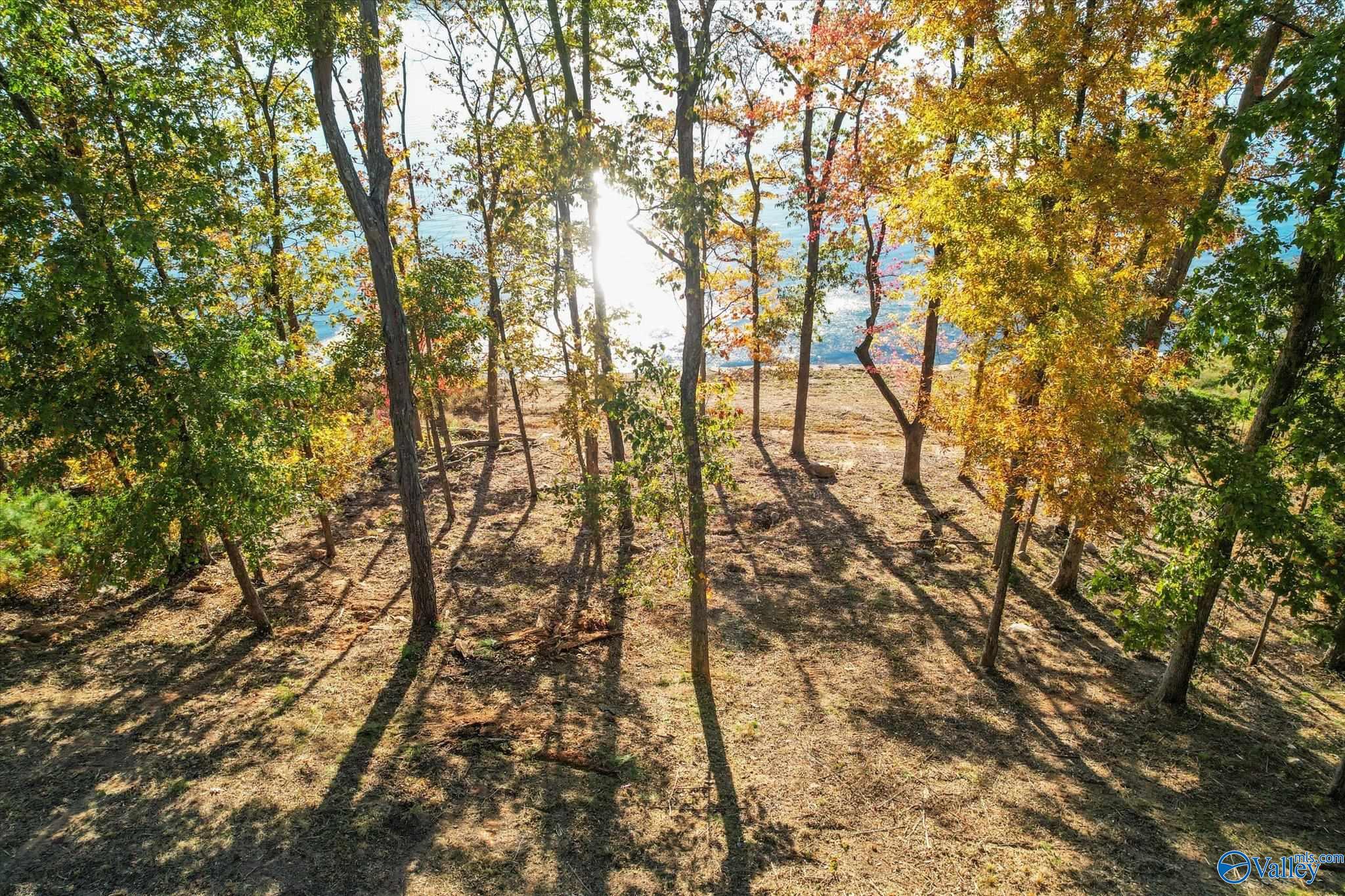 572 Reserve Drive, Guntersville, Alabama image 13