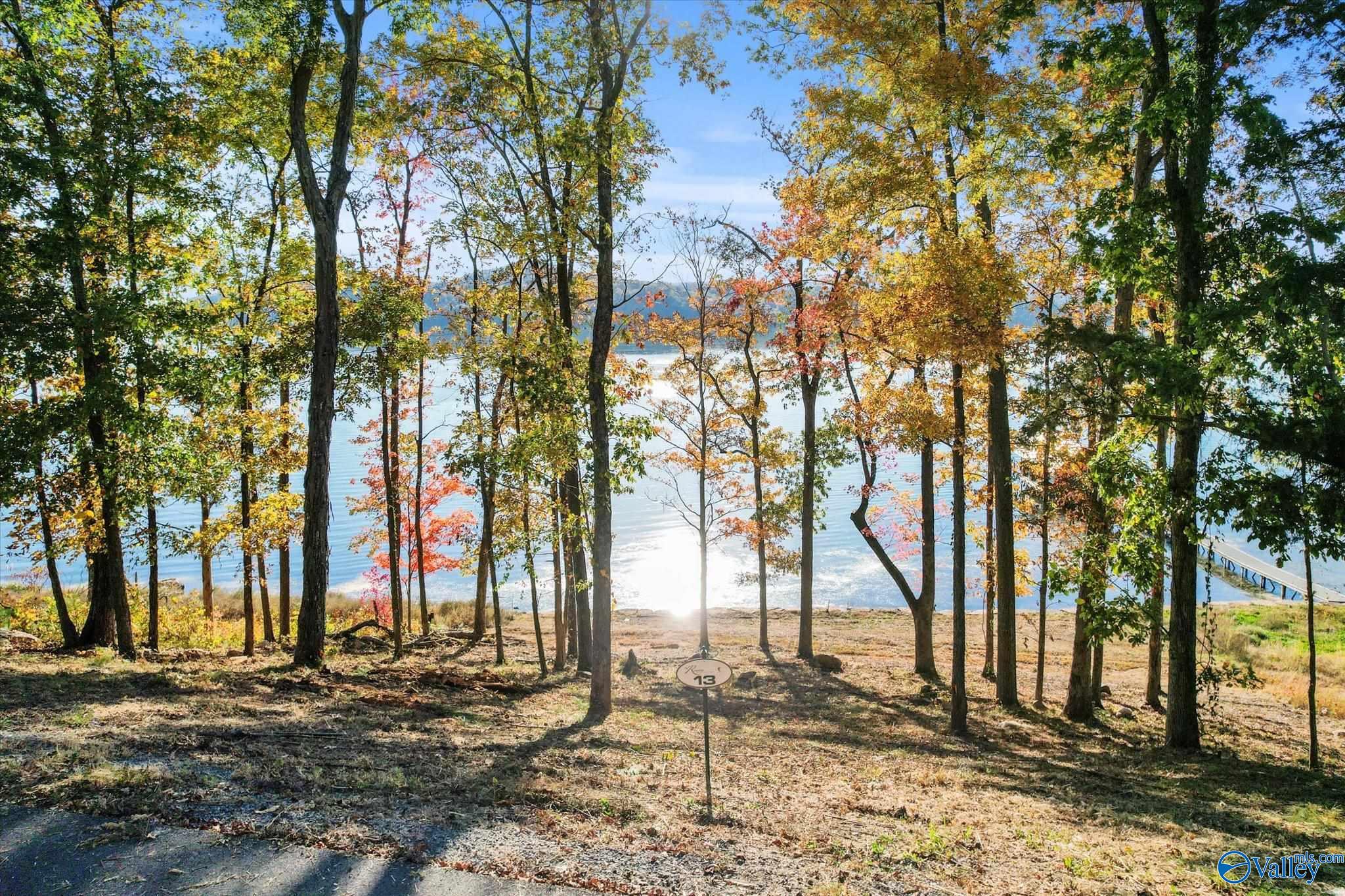 572 Reserve Drive, Guntersville, Alabama image 14