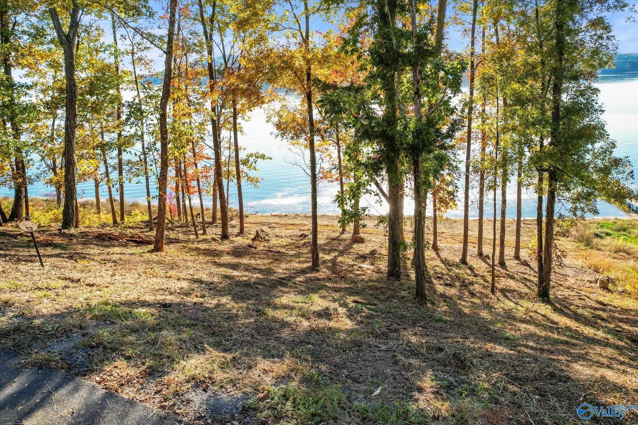 572 Reserve Drive, Guntersville, Alabama image 1