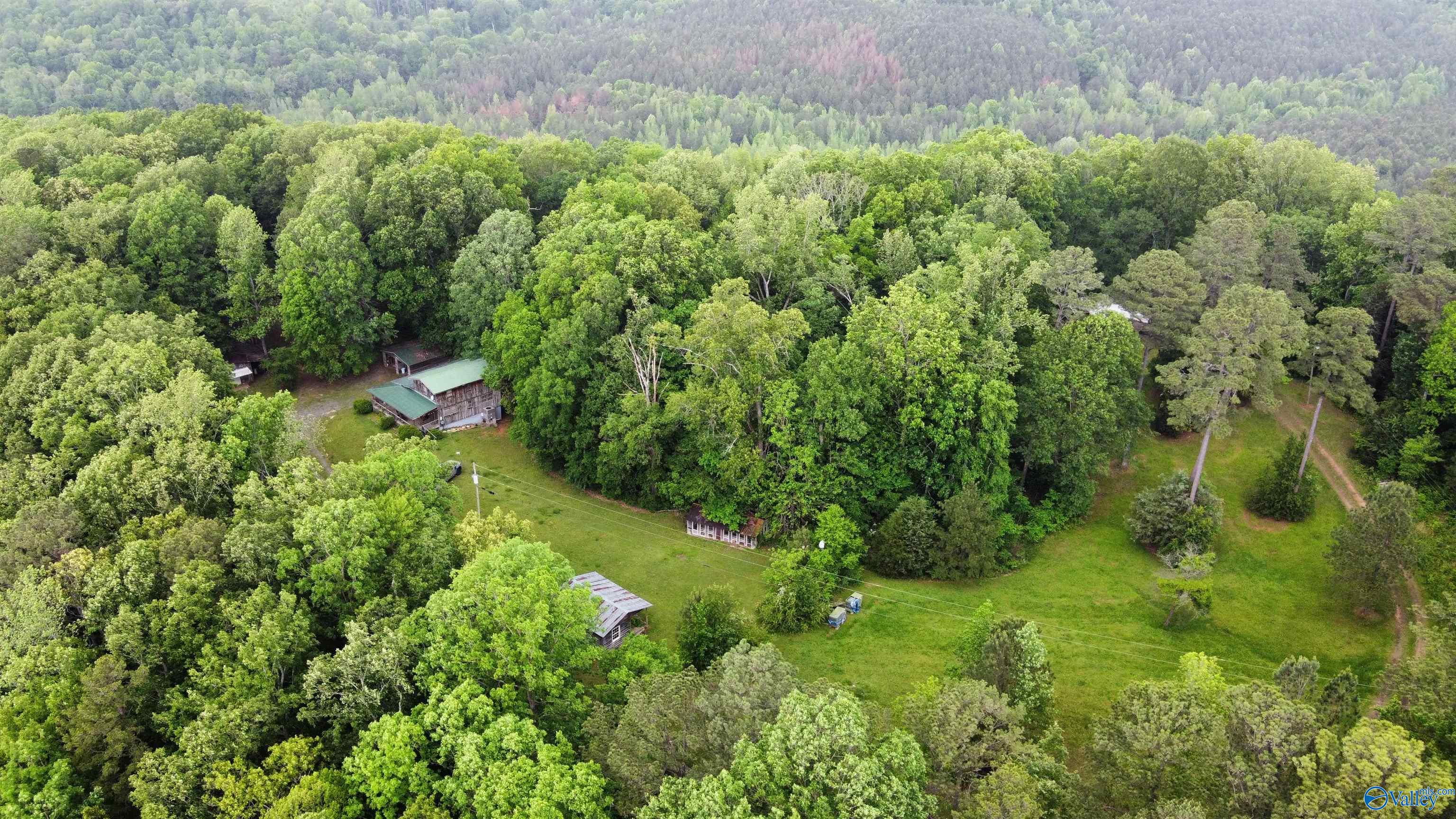 214 Eagle Rock Drive, Arab, Alabama image 8