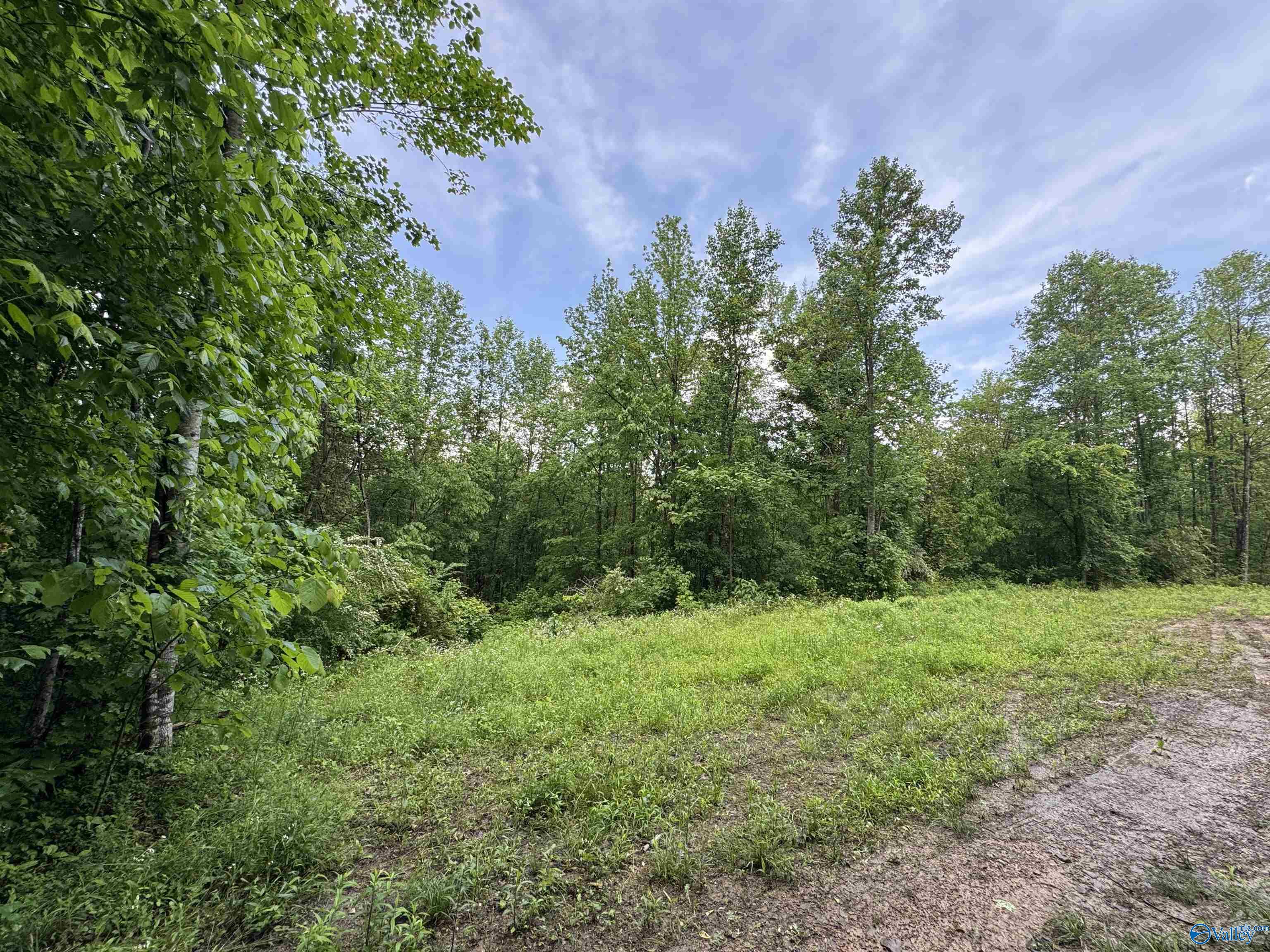 214 Eagle Rock Drive, Arab, Alabama image 14