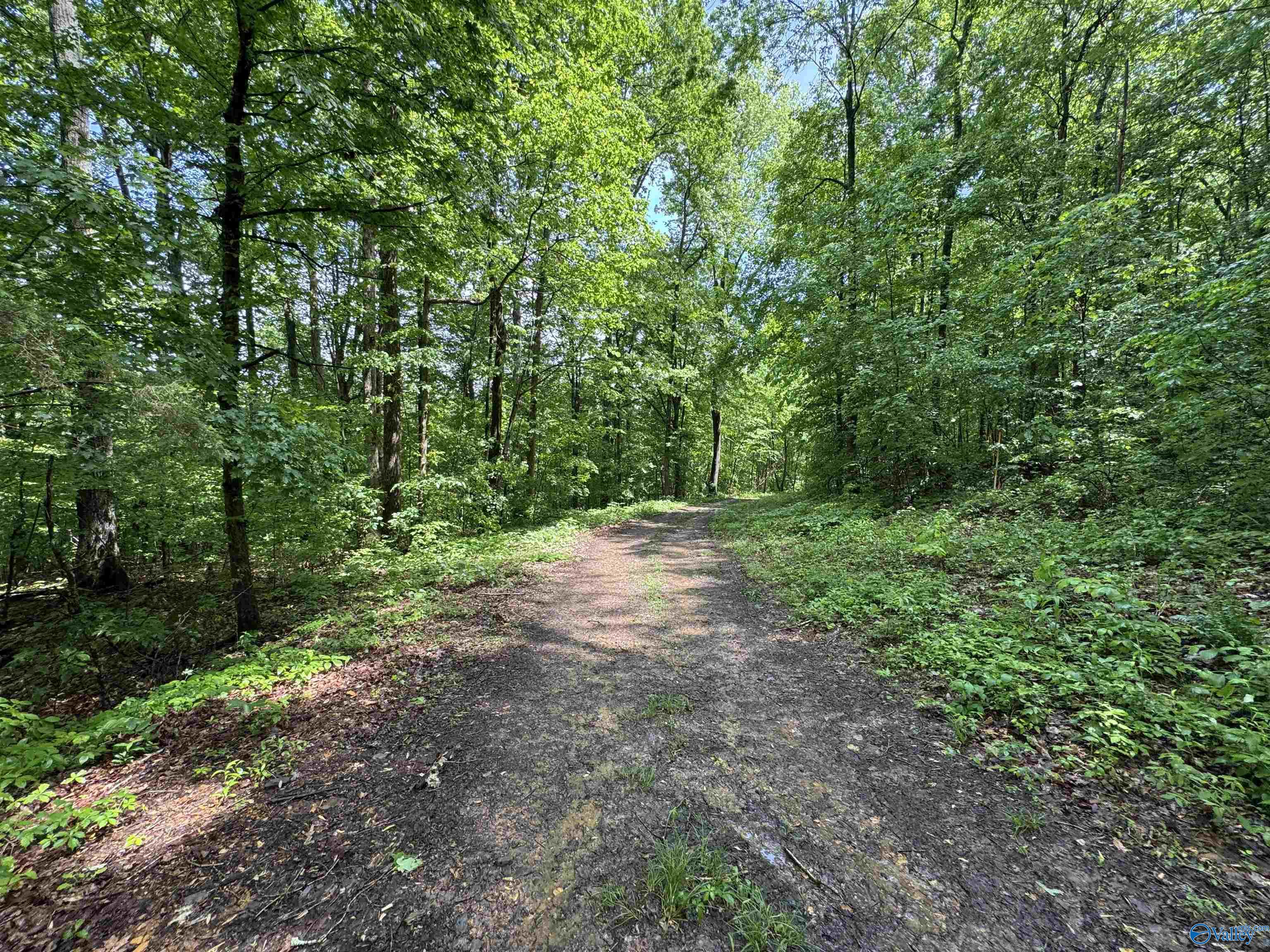 214 Eagle Rock Drive, Arab, Alabama image 15