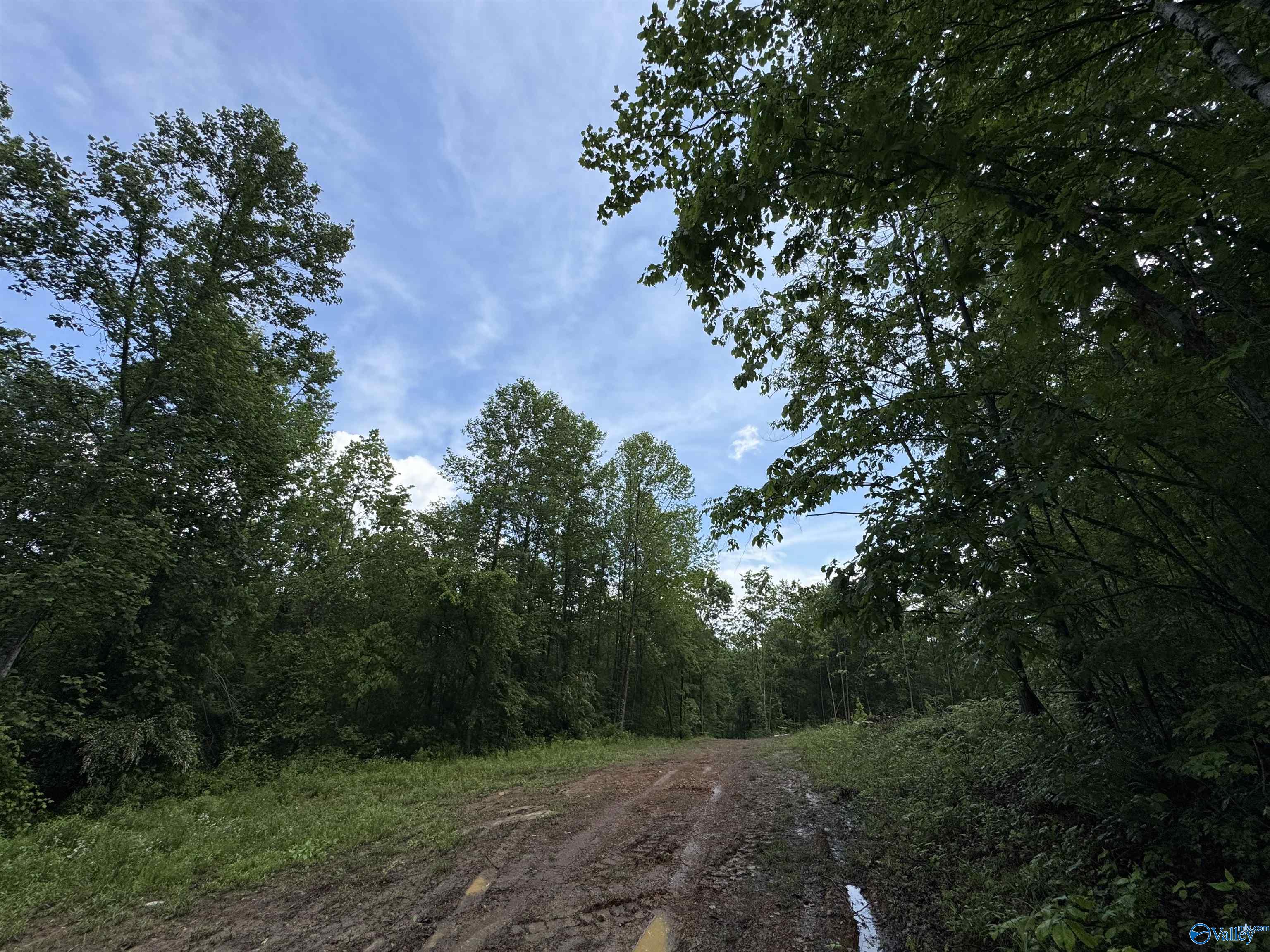 214 Eagle Rock Drive, Arab, Alabama image 12