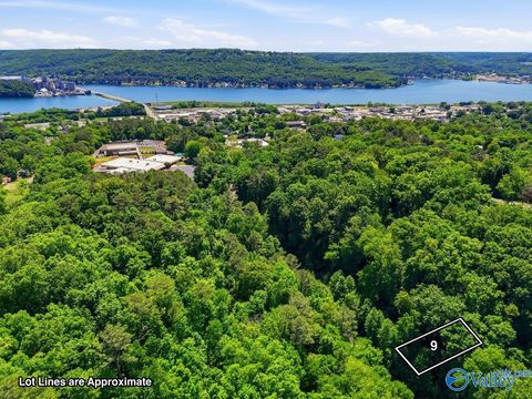 Vacant Land For Sale - LOT 9 Lusk Street<br/> Guntersville, AL 35976