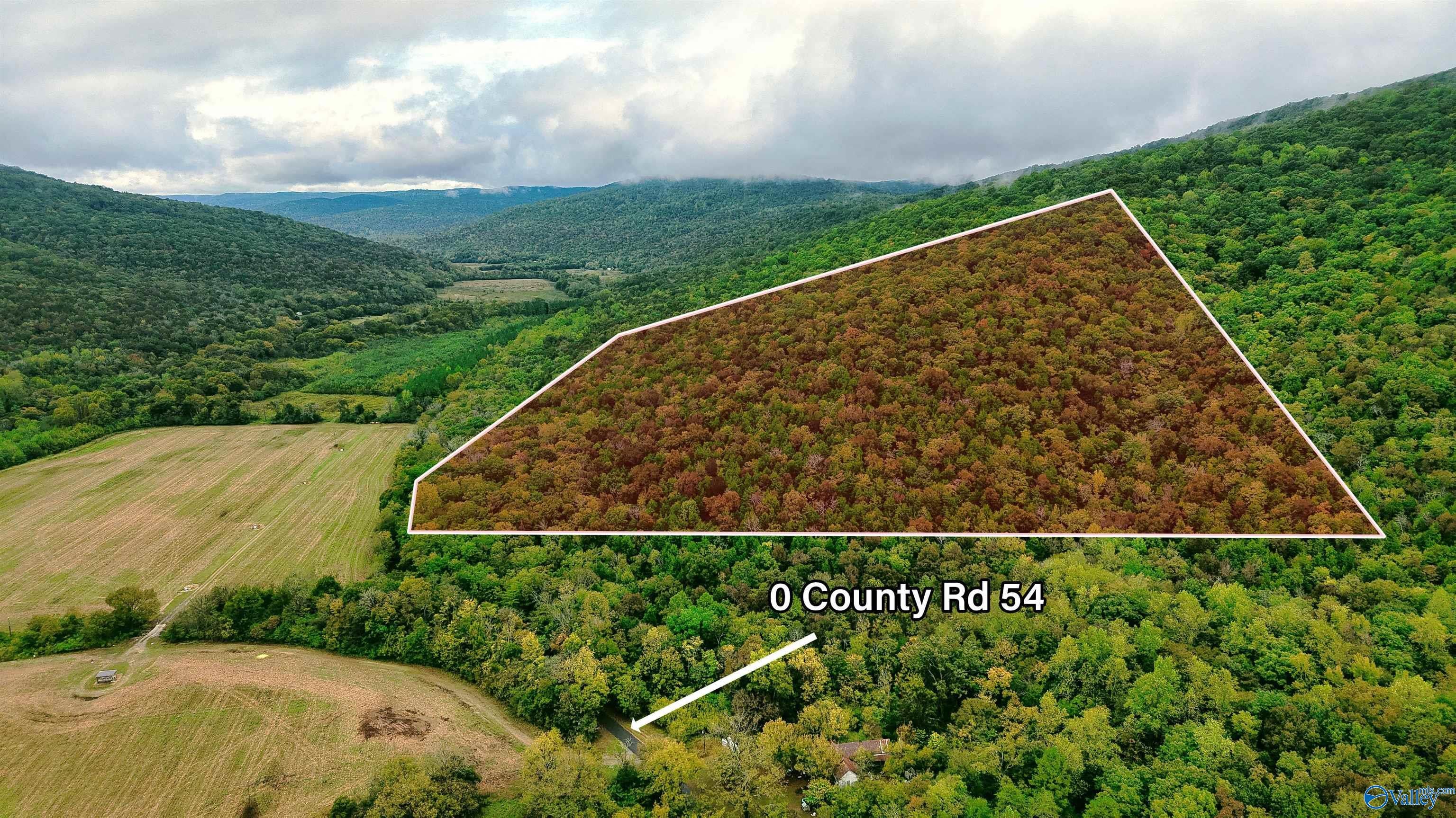 37 County Road 54