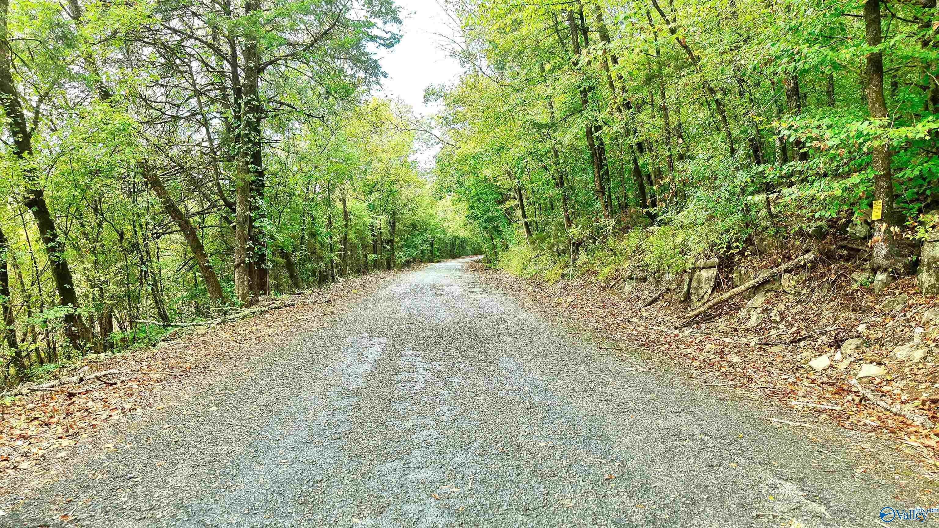 37 County Road 54