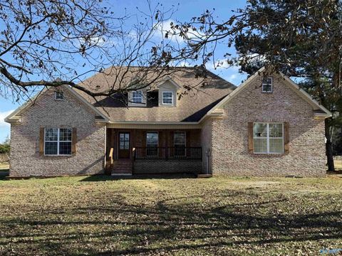 Photo of 107 Lower Dry Creek Road, Laceys Spring, AL 35754 (MLS # 21917047)