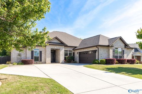 Photo of 124 Harbor Glen Drive SW, Madison, AL 35756 (MLS # 21917433)