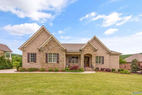 Photo of 78 Mcmullen Lane SE, Gurley, AL 35748 (MLS # 21917569)