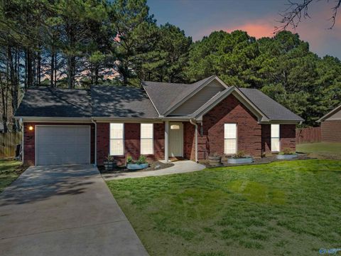 Homes For Sale - 244 Welcome Home Village Road<br/> Toney, AL 35773