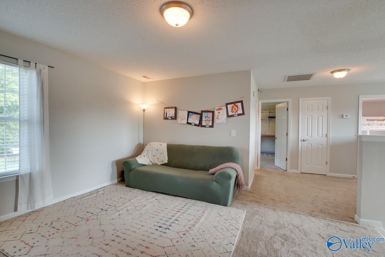186 Round Top Drive, Harvest, Alabama image 25