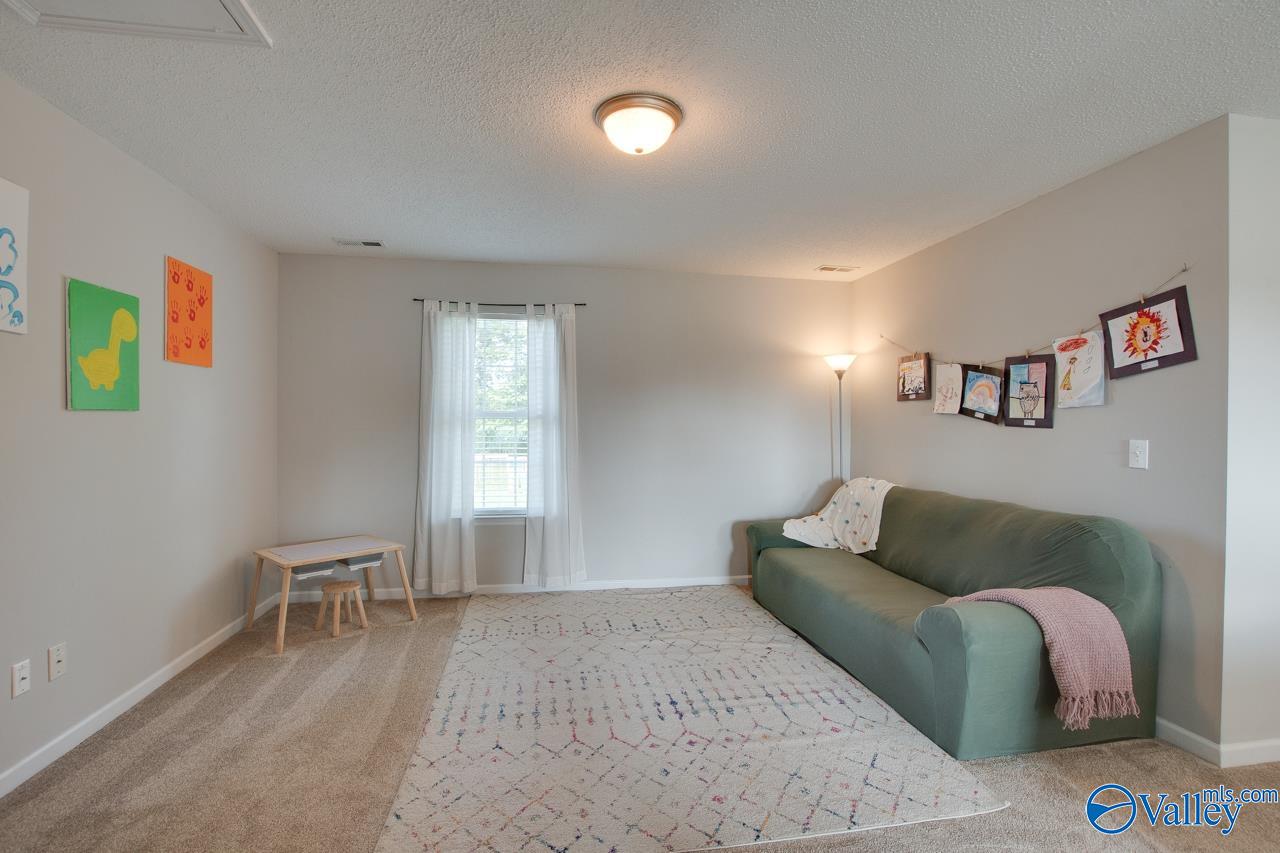 186 Round Top Drive, Harvest, Alabama image 24