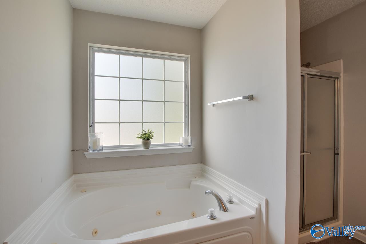 186 Round Top Drive, Harvest, Alabama image 31