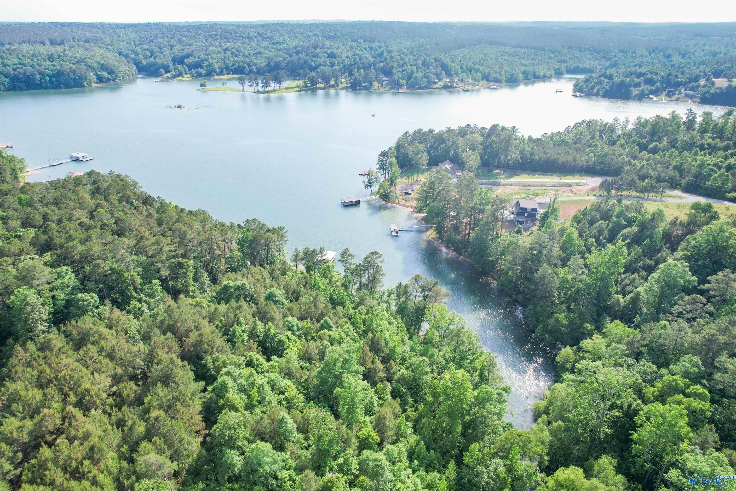 Lot # 6 Stillwater Coves, Double Springs, Alabama image 13