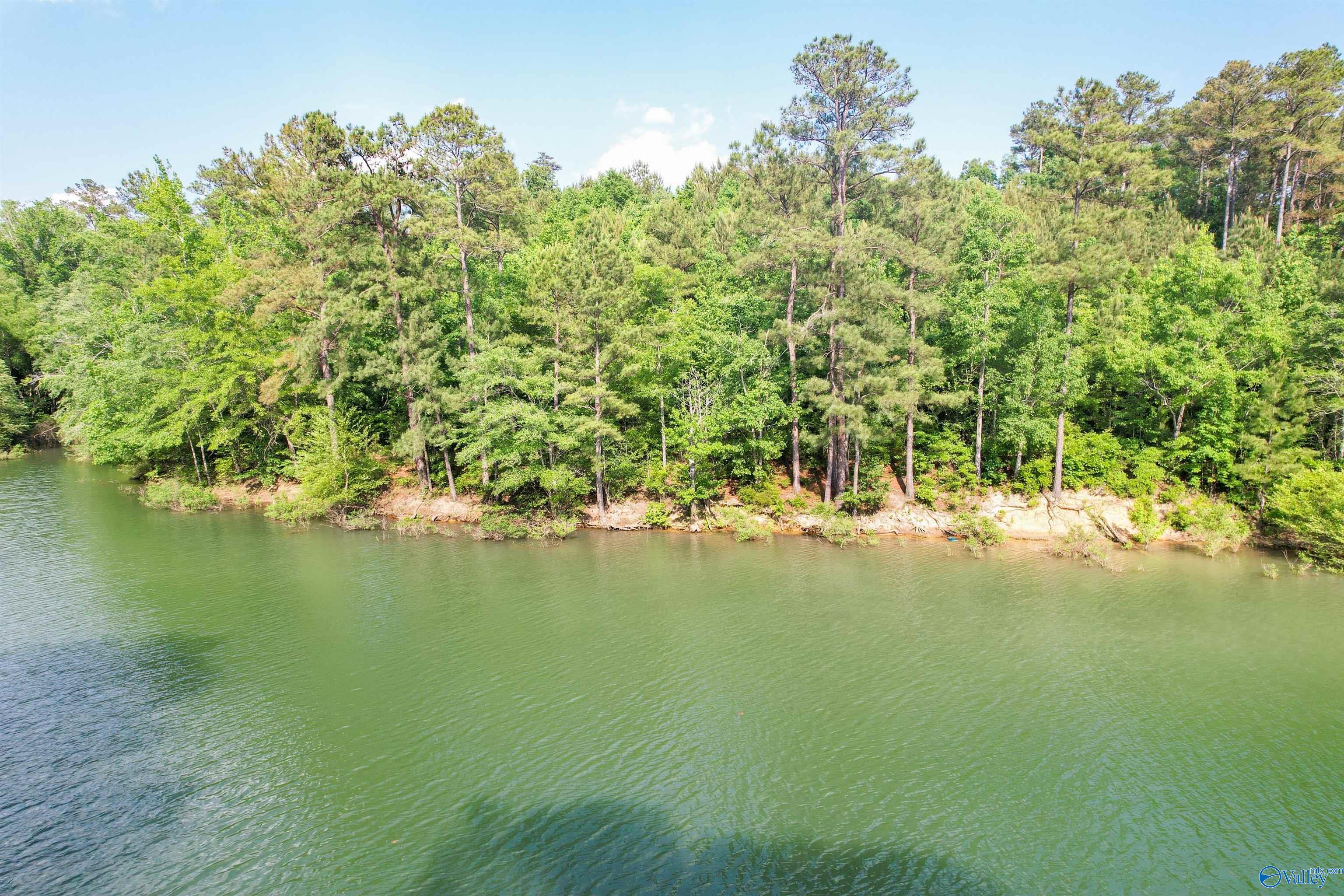 Lot # 6 Stillwater Coves, Double Springs, Alabama image 2