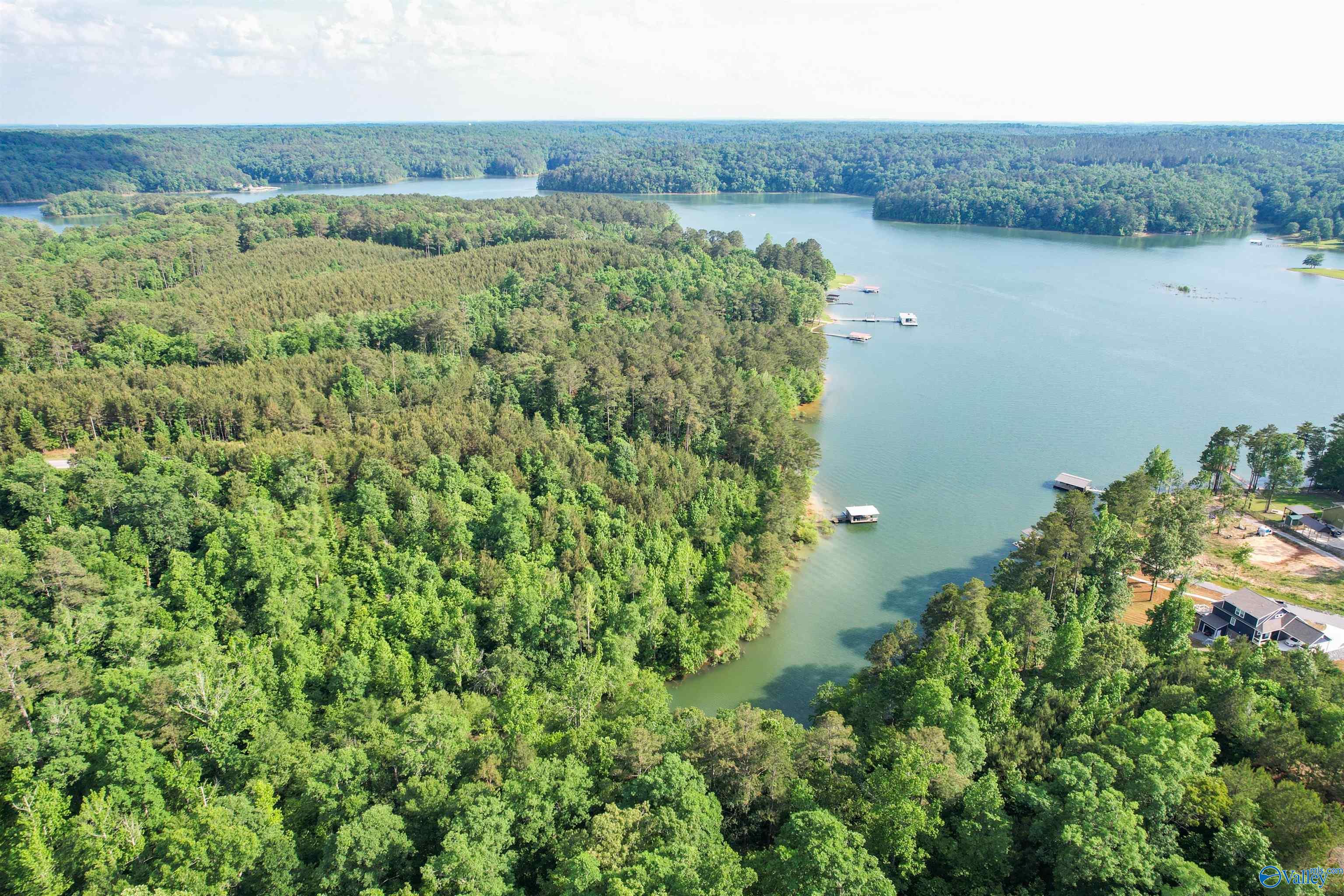 Lot # 6 Stillwater Coves, Double Springs, Alabama image 9