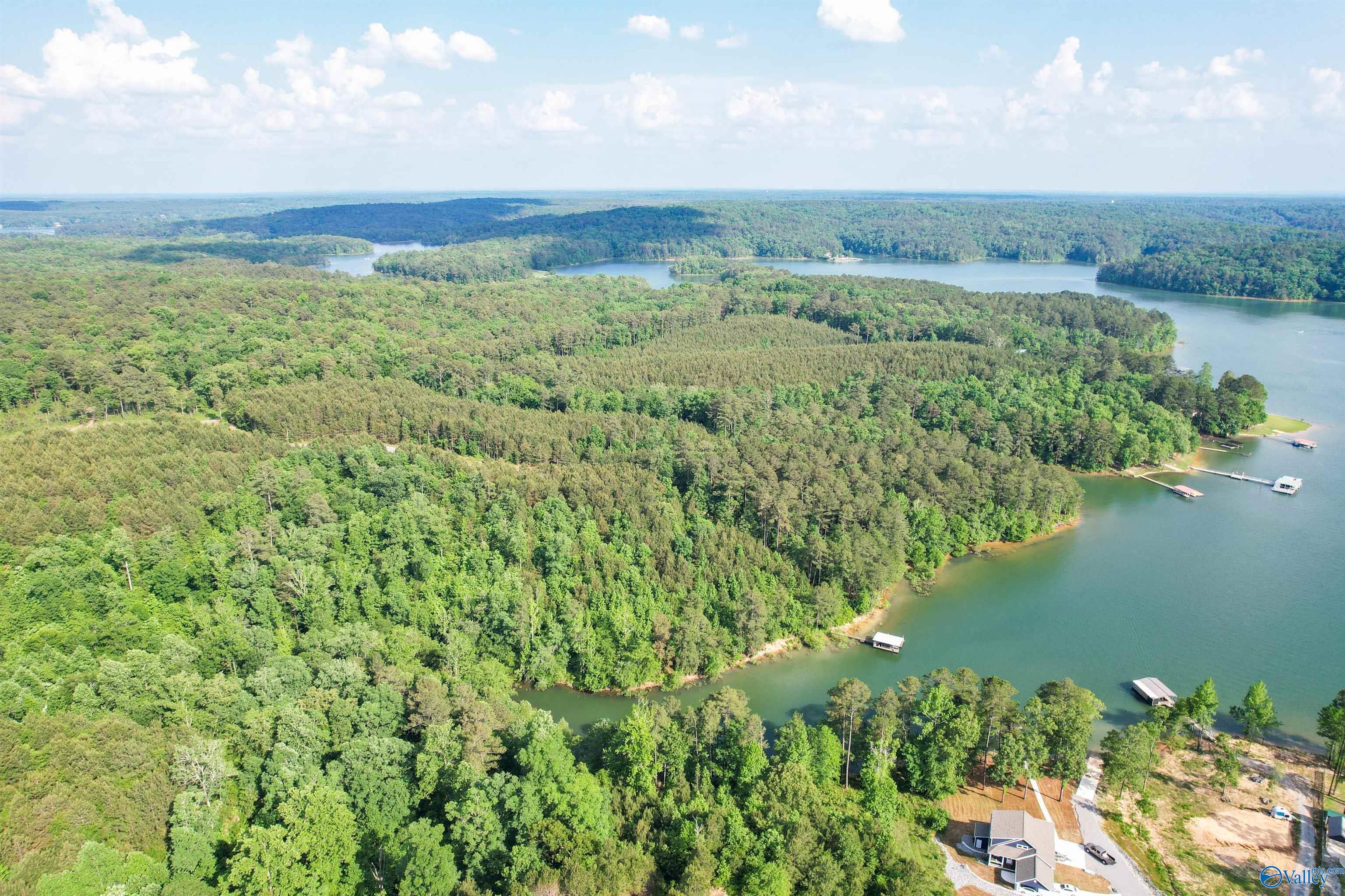 Lot # 6 Stillwater Coves, Double Springs, Alabama image 10