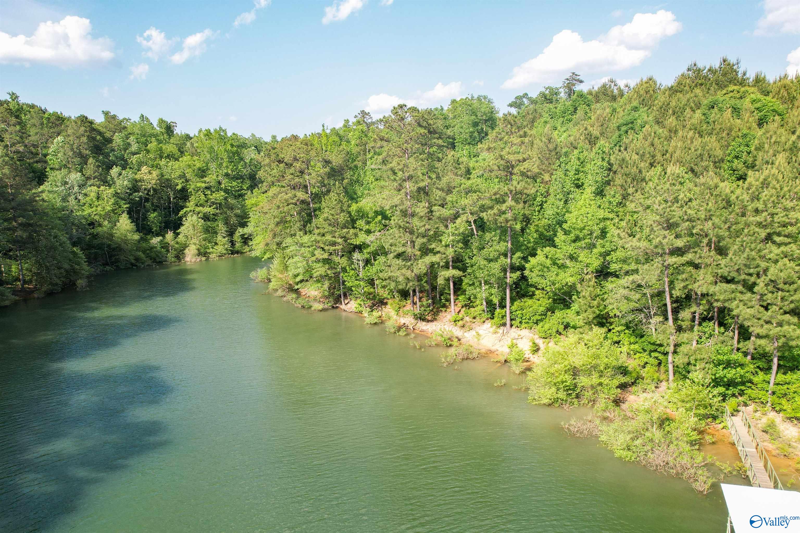 Lot # 6 Stillwater Coves, Double Springs, Alabama image 11