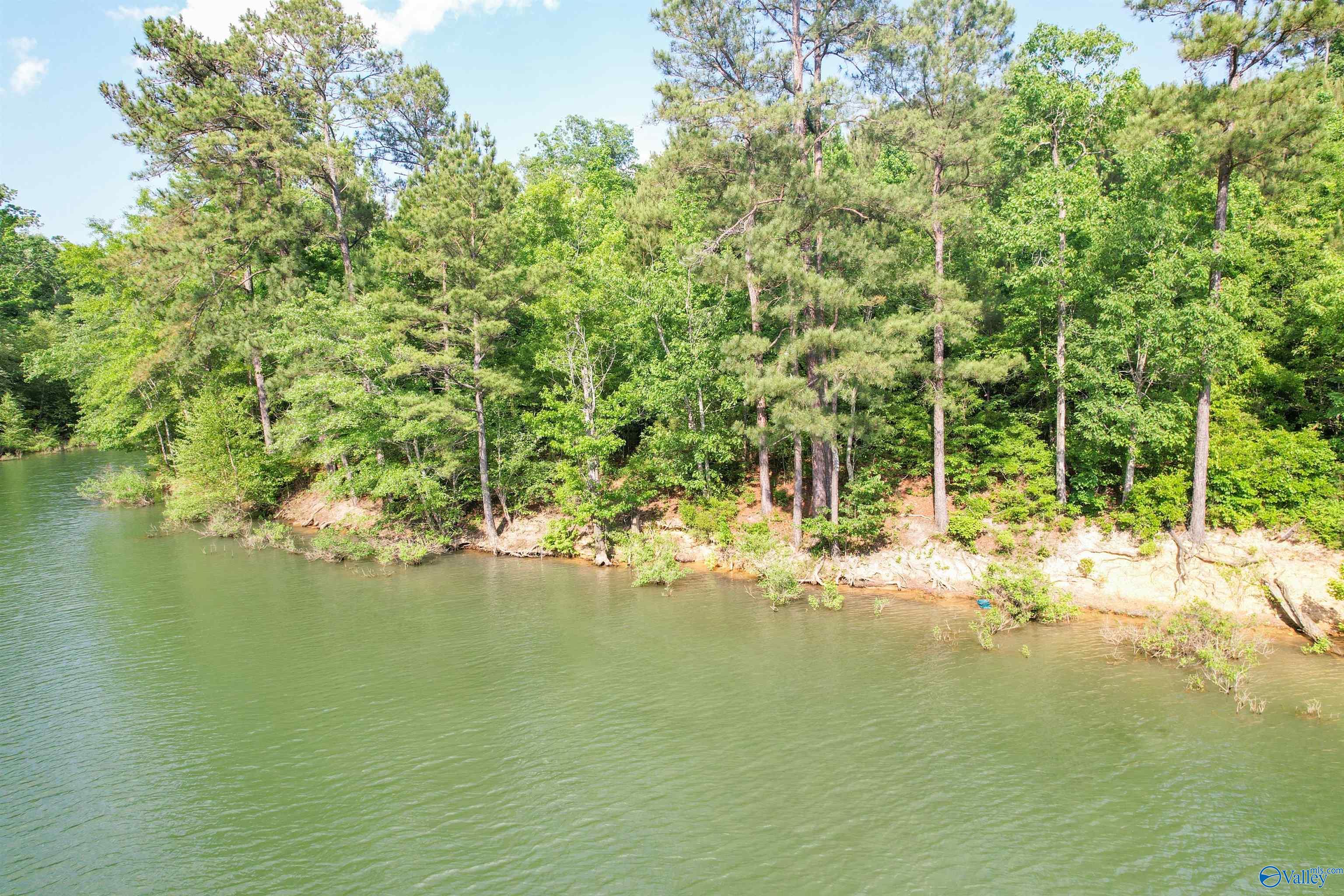 Lot # 6 Stillwater Coves, Double Springs, Alabama image 3