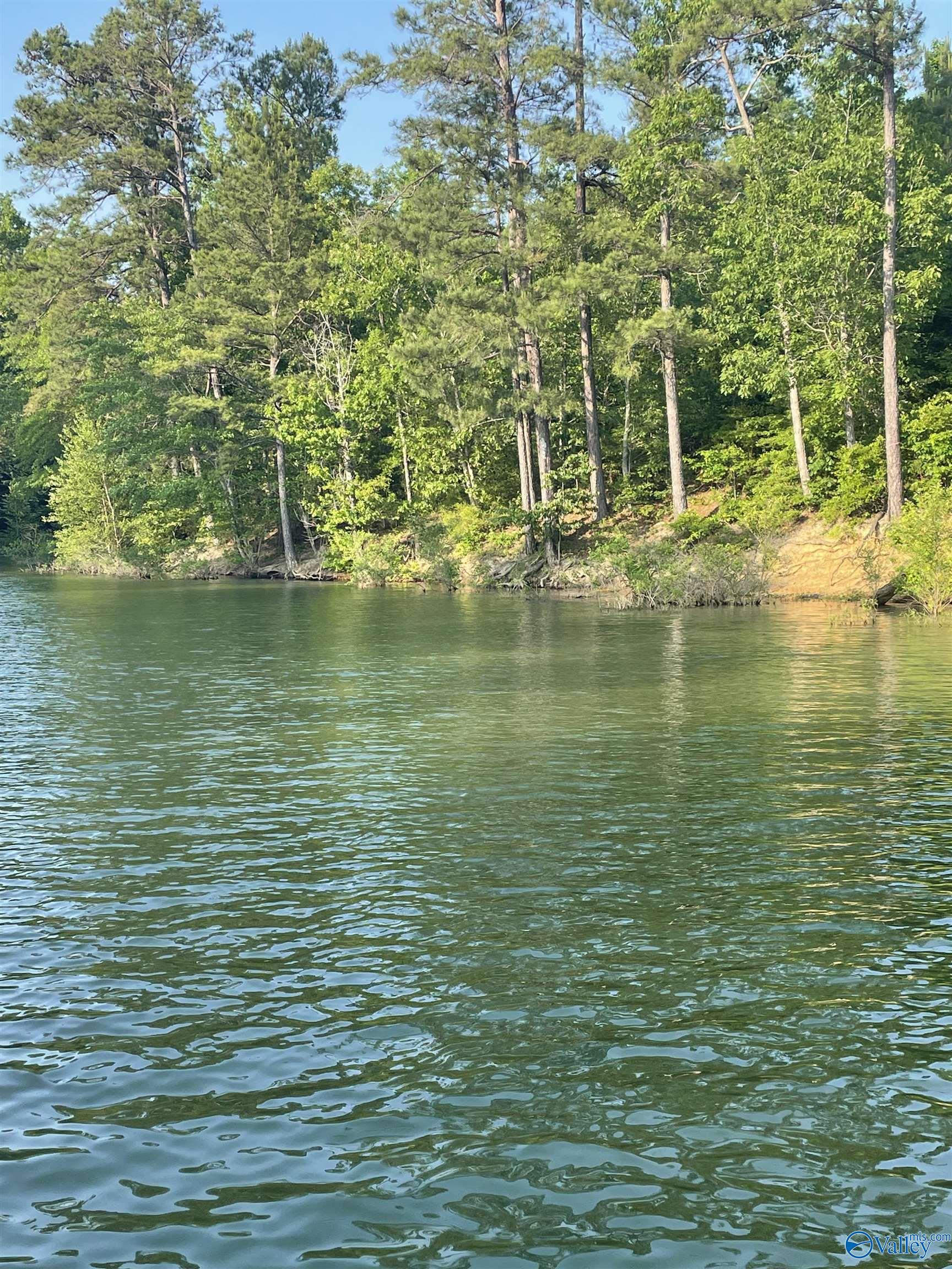 Lot # 6 Stillwater Coves, Double Springs, Alabama image 1