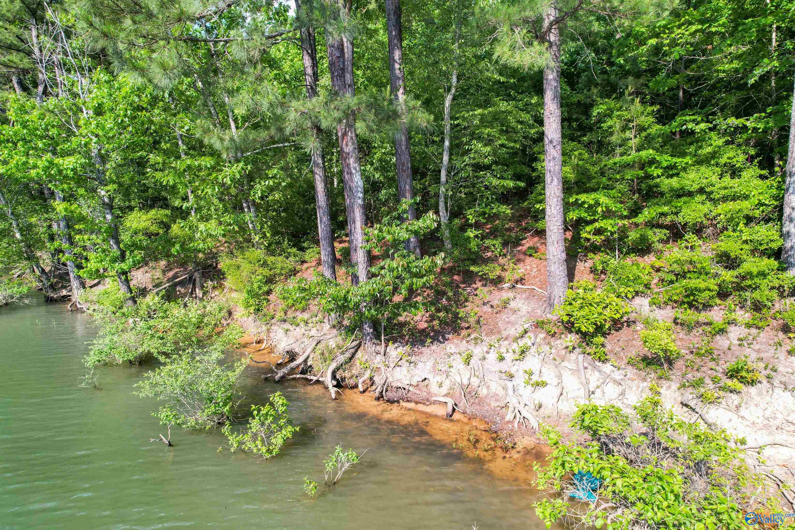 Lot # 6 Stillwater Coves, Double Springs, Alabama image 4