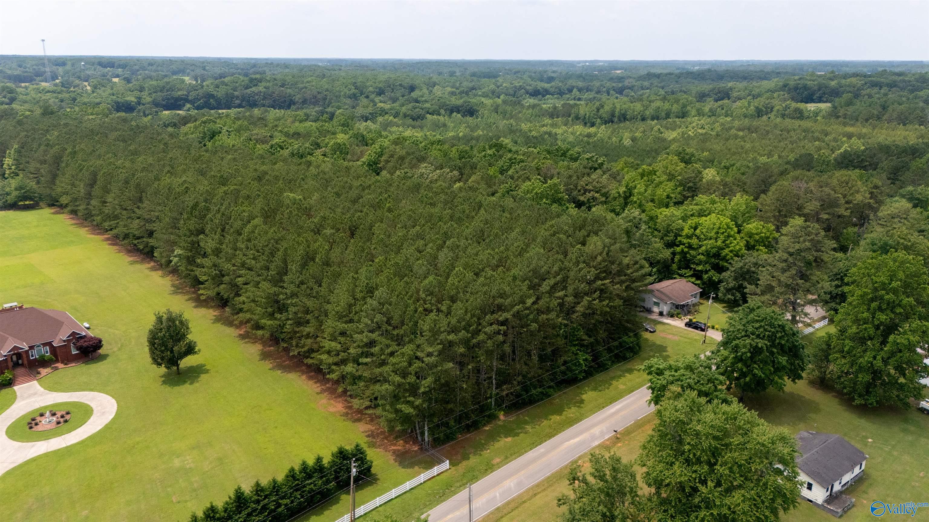 9.05 Toney School Road, Toney, Alabama image 18