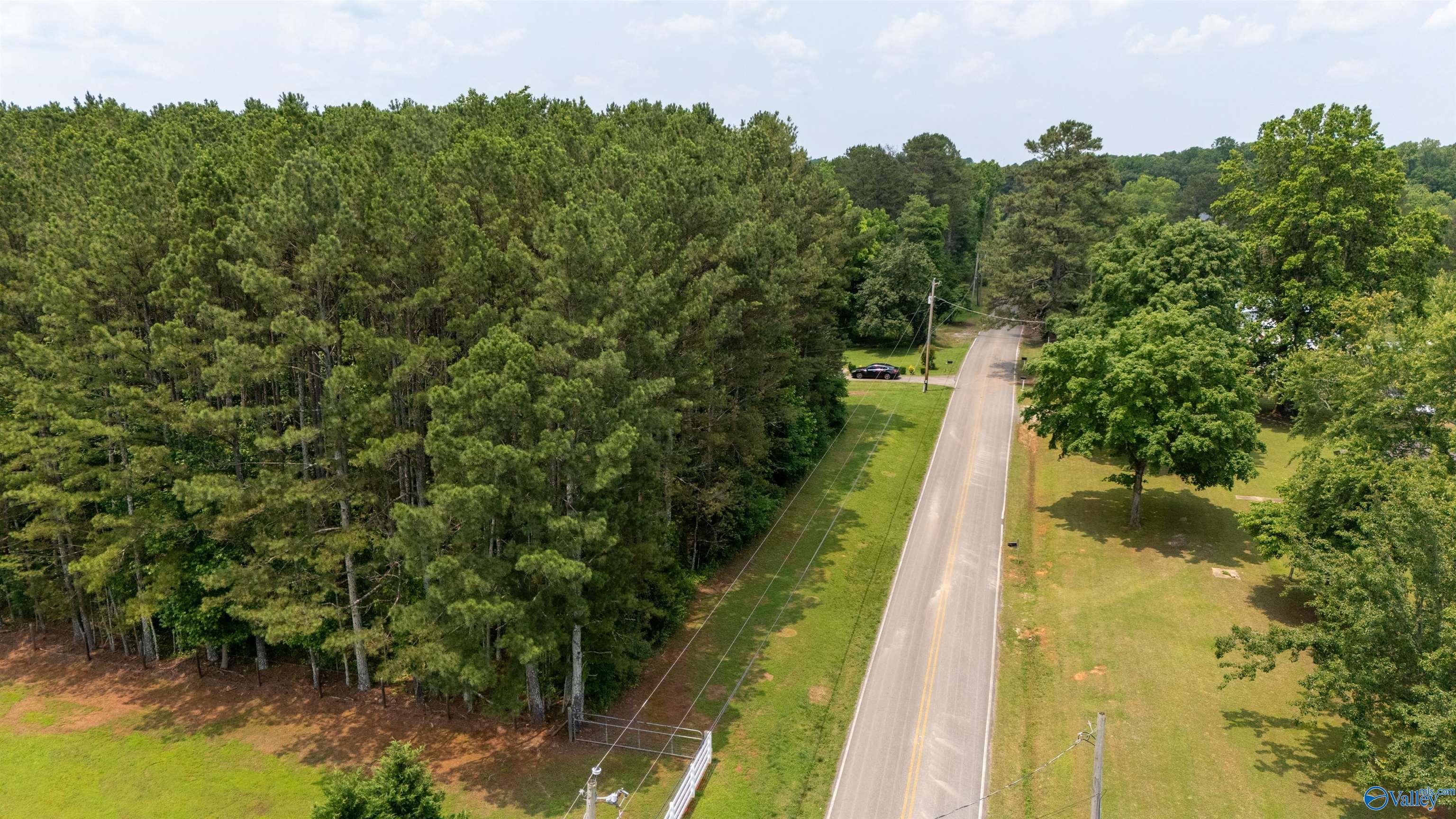 9.05 Toney School Road, Toney, Alabama image 11