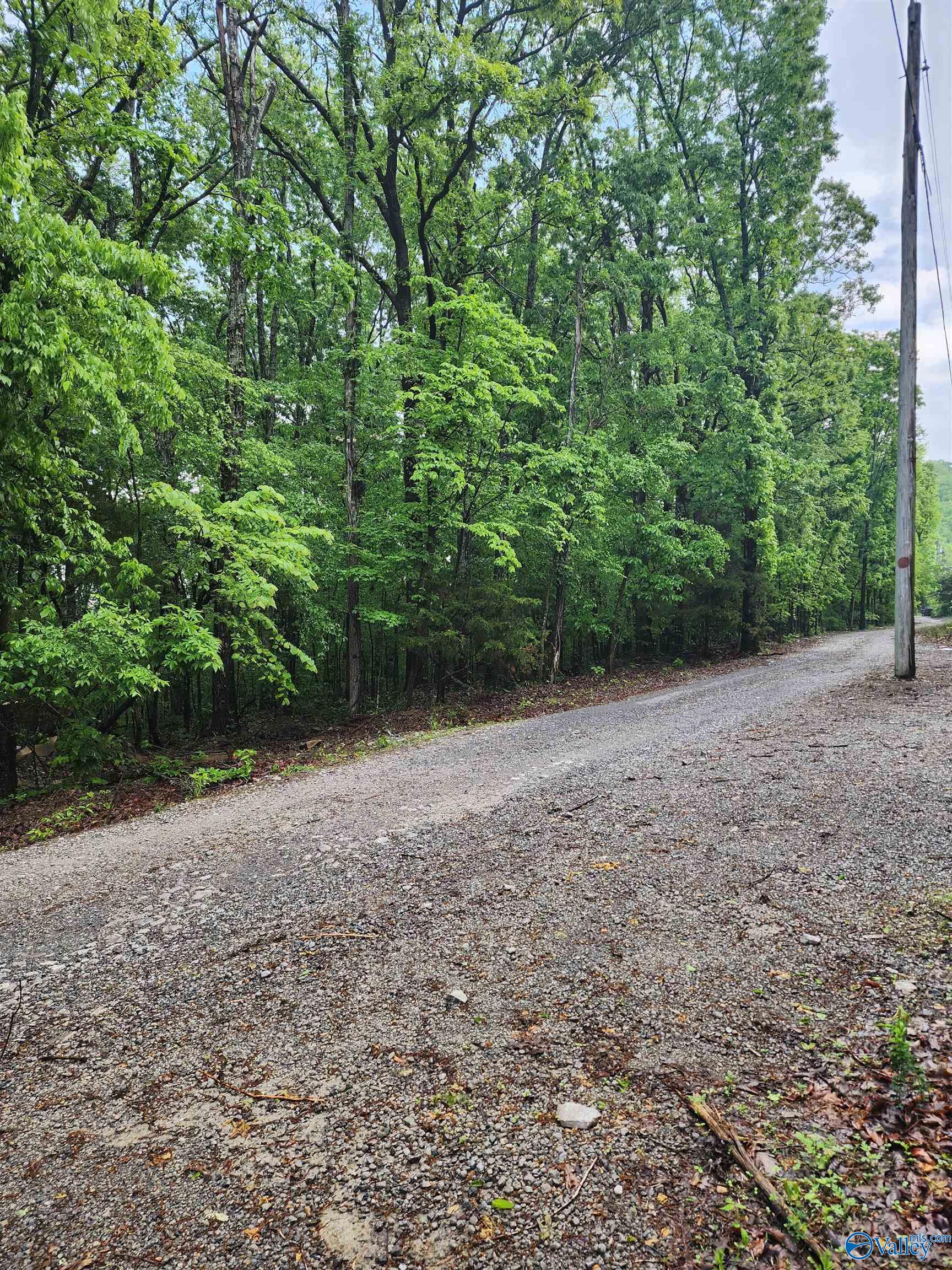 Lot 0 Huskey Mountain Road, Laceys Spring, Alabama image 9