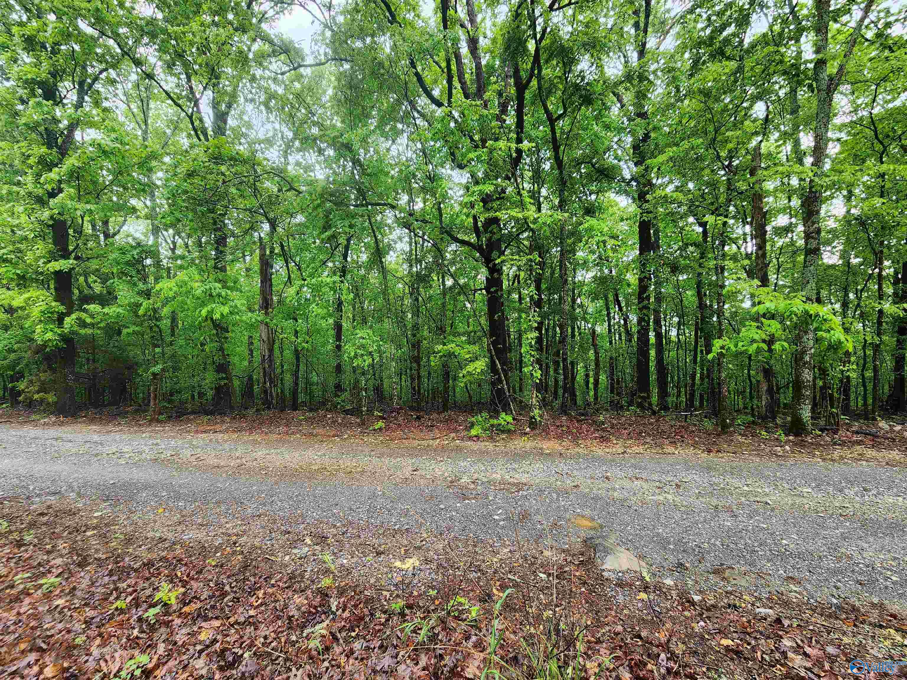 Lot 0 Huskey Mountain Road, Laceys Spring, Alabama image 10