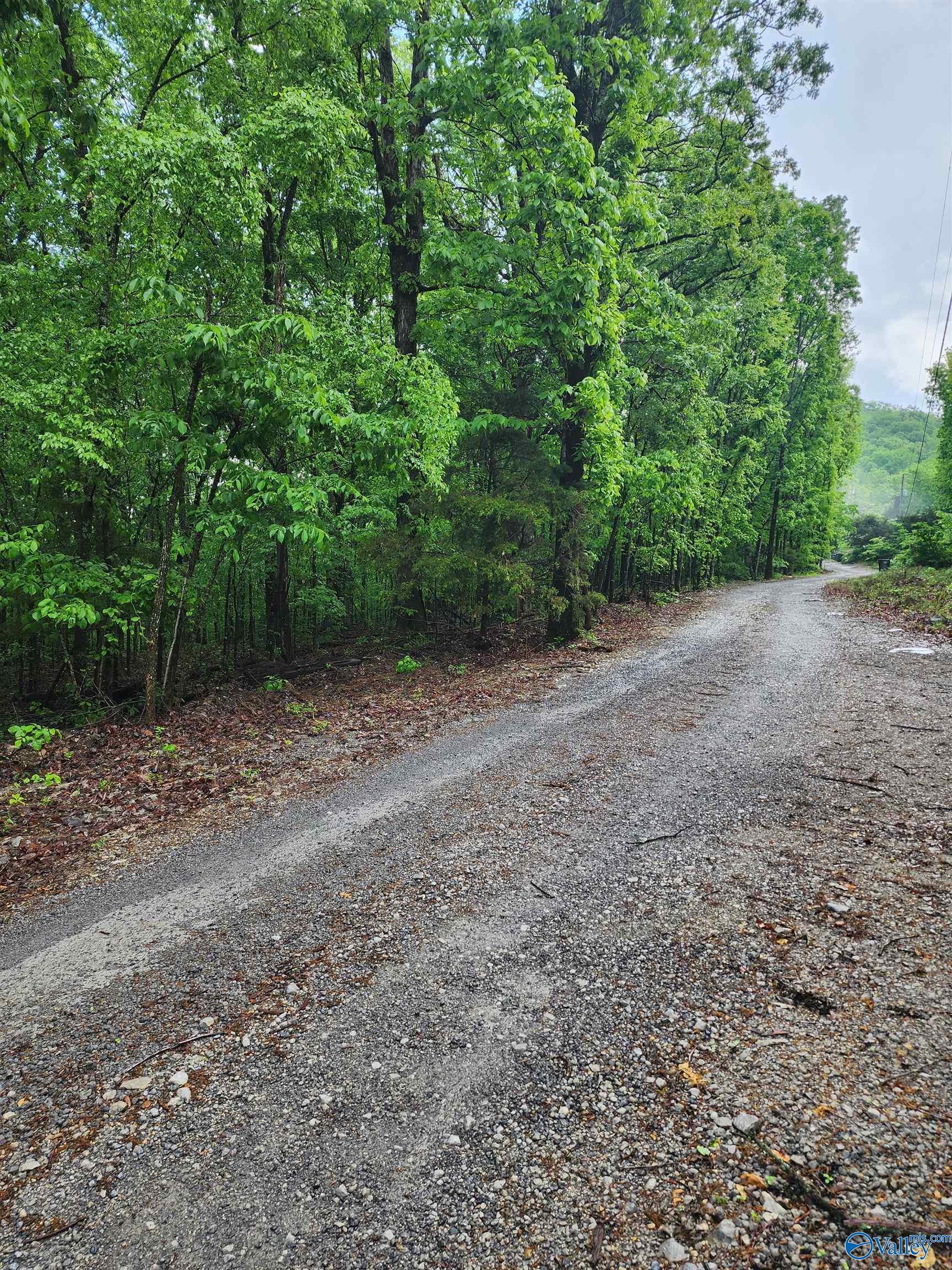 Lot 0 Huskey Mountain Road, Laceys Spring, Alabama image 7