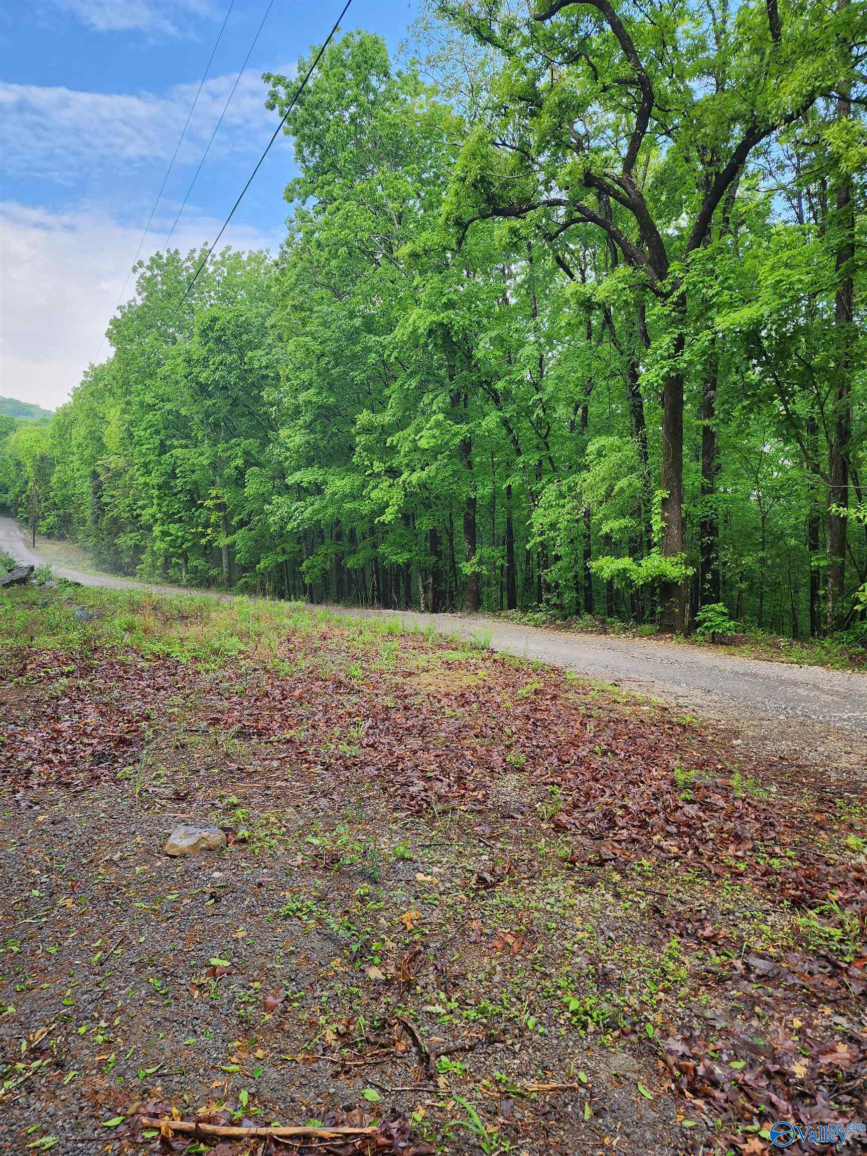 Lot 0 Huskey Mountain Road, Laceys Spring, Alabama image 8