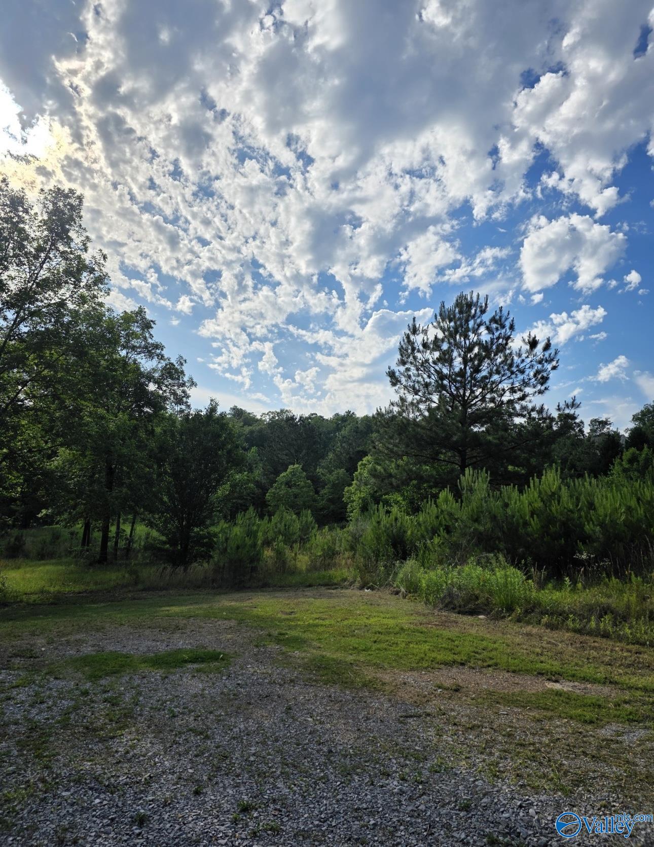 5682 Highway 77, Southside, Alabama image 4