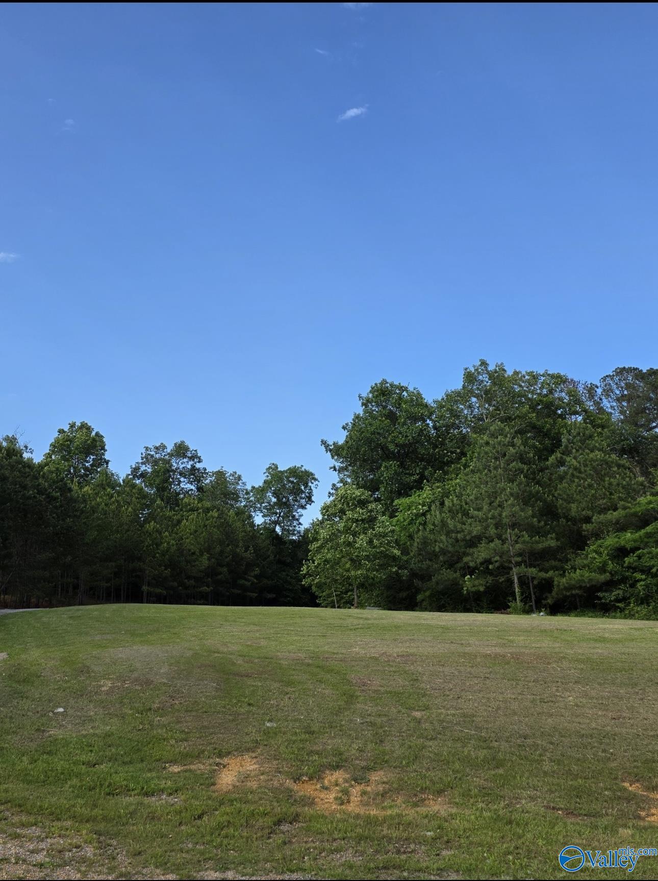 5682 Highway 77, Southside, Alabama image 2