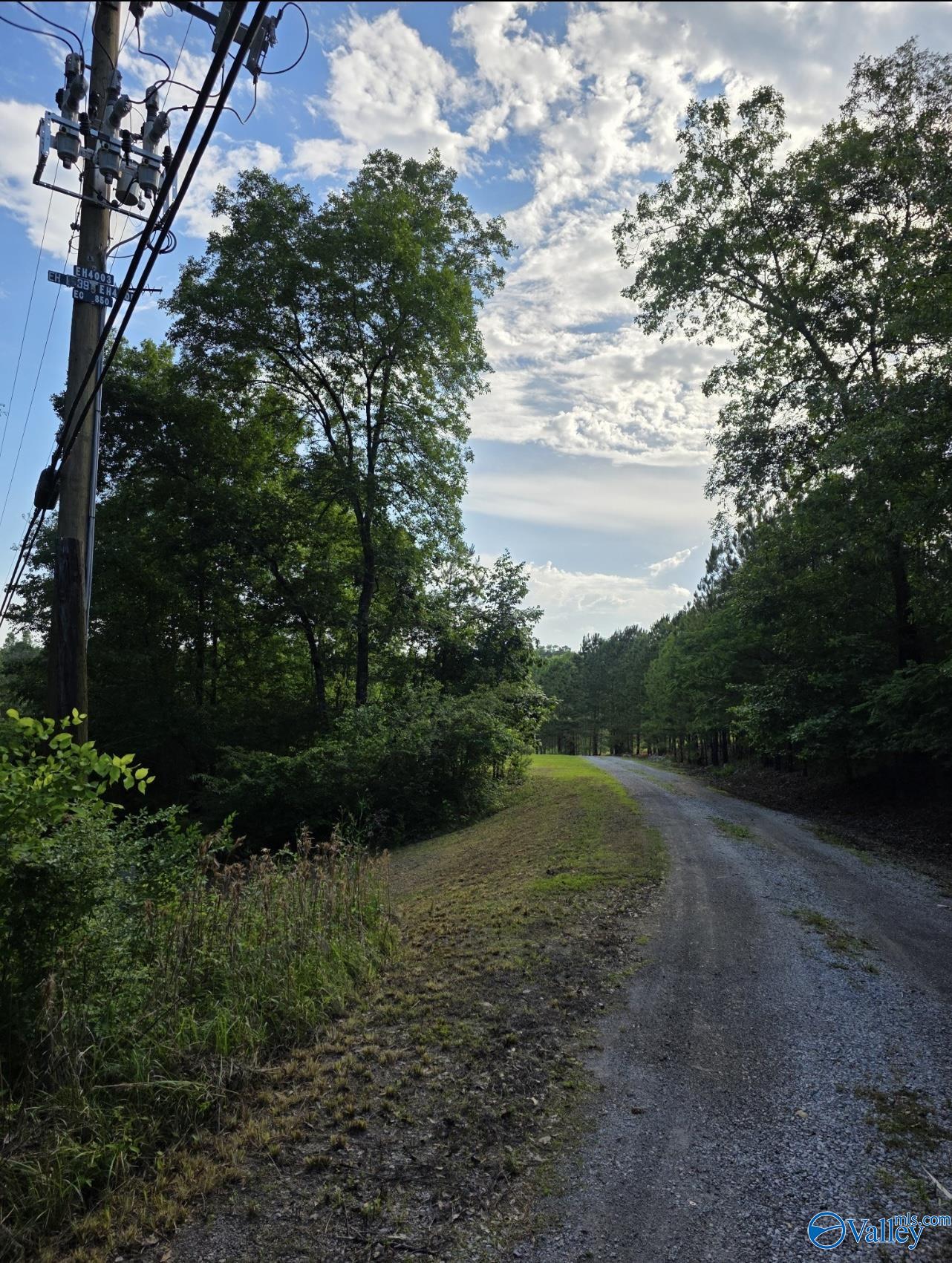 5682 Highway 77, Southside, Alabama image 7