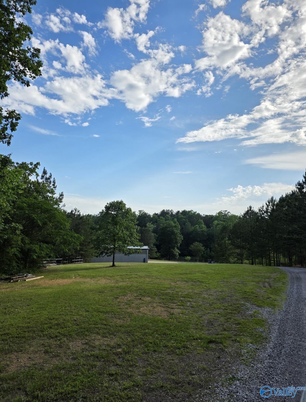 5682 Highway 77, Southside, Alabama image 6