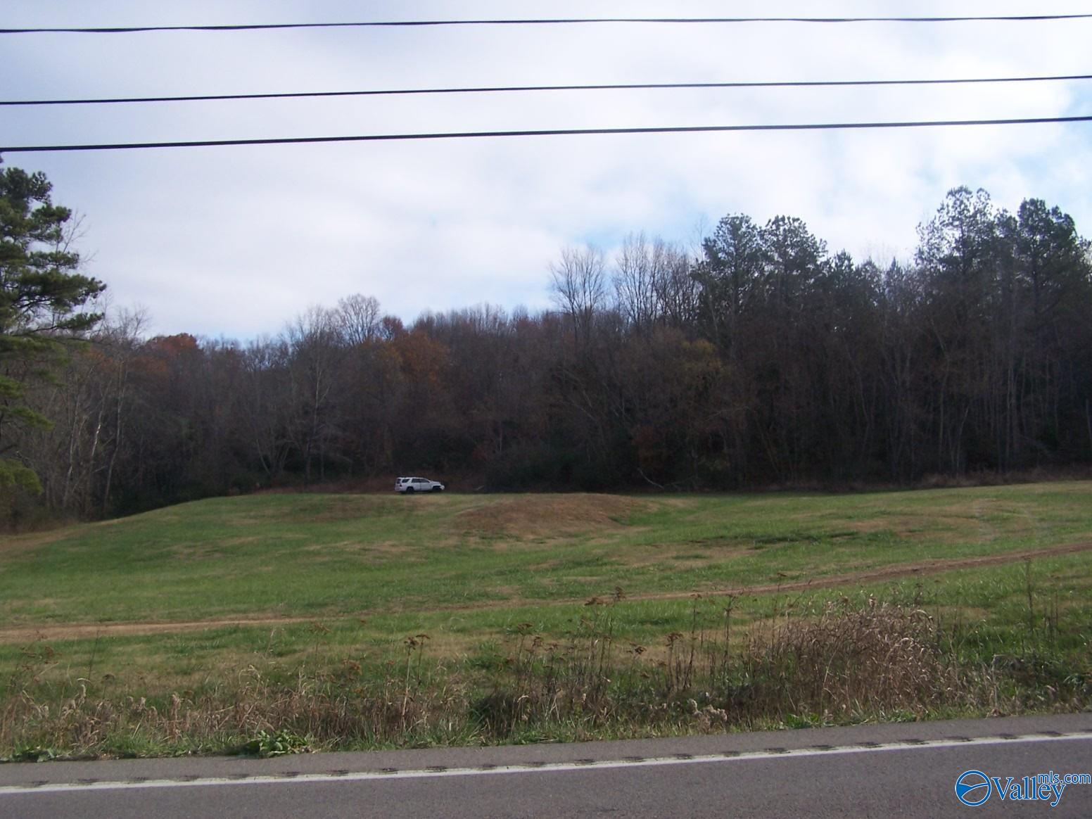 Lot 2 Us Highway 31, Pulaski, Tennessee image 24