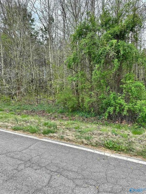 W LIMESTONE SCHOOL RD, LESTER, AL 35647 - Image f8f0d71093dfe3cef0148dd4783c6be6/3403289660